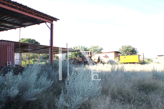 1268 Ha Farm For Sale - PRIME LOCATION - Ref.No. 2063