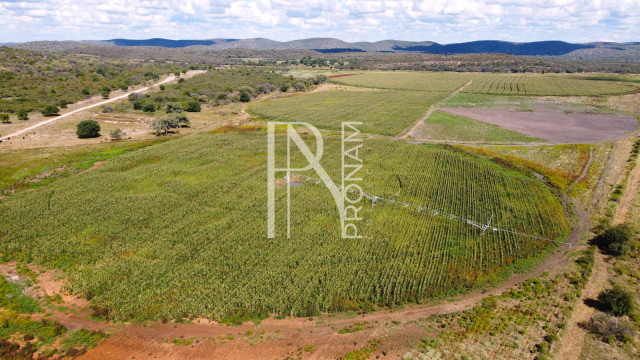 220 Ha Agricultur Farm for sale in Tsumeb - Ref.Nr. 2080