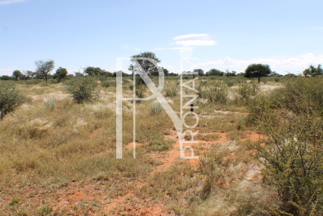 232 Ha Plot For Sale - Ref.No. 2068