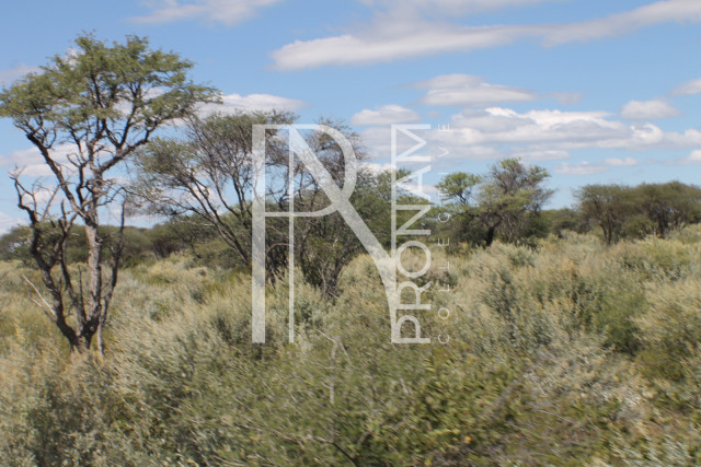 164 Ha Plot For Sale - Ref.No. 2067