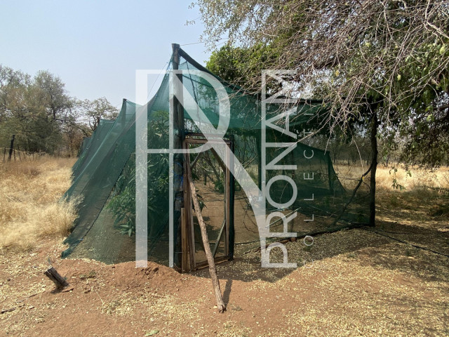 Farm For Sale