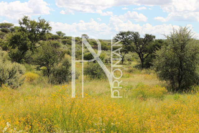 5.97 Ha Plot For Sale