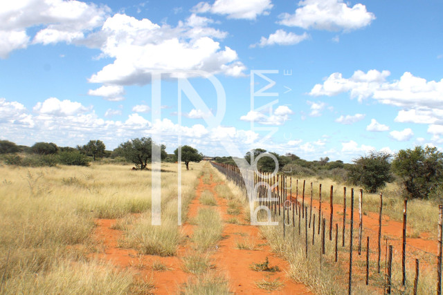 1268 Ha Farm For Sale - PRIME LOCATION - Ref.No. 2063