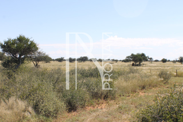 129 Ha Plot For Sale - Ref.No. 2076