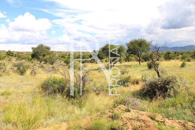 8.24 Ha Plot For Sale