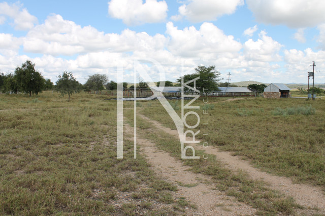 200 Ha Farm For Sale