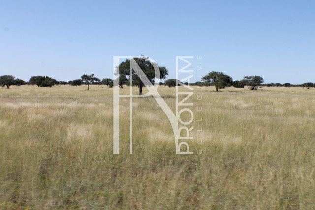 152 Ha Plot For Sale - Ref.No. 2075