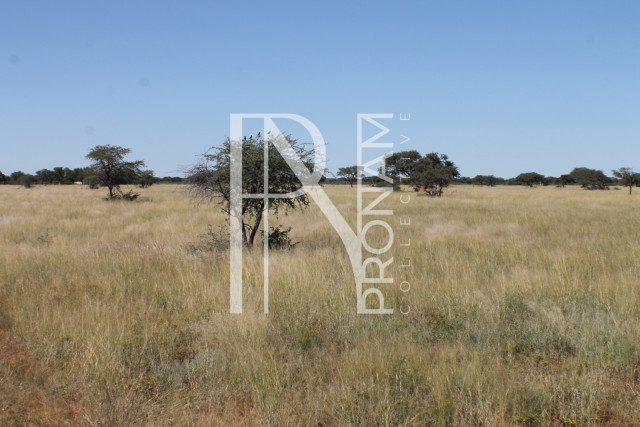 152 Ha Plot For Sale - Ref.No. 2075
