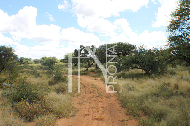 1268 Ha Farm For Sale - PRIME LOCATION - Ref.No. 2063