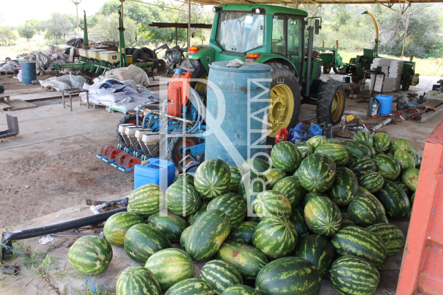 200 Ha Farm For Sale