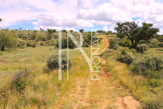 5.97 Ha Plot For Sale