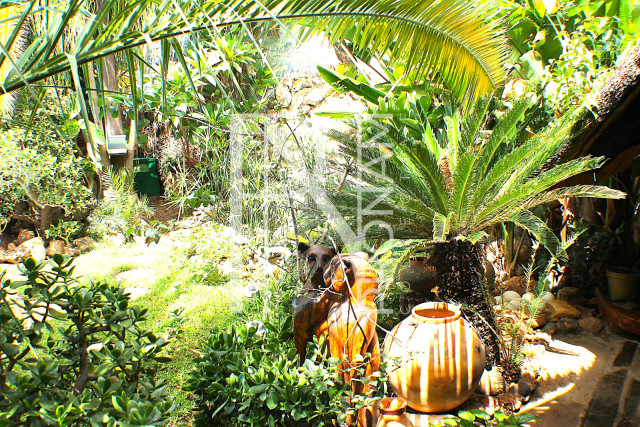 A well maintained garden