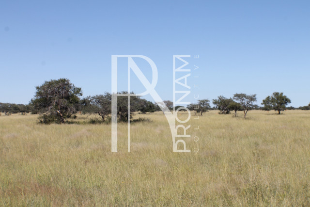 152 Ha Plot For Sale - Ref.No. 2075