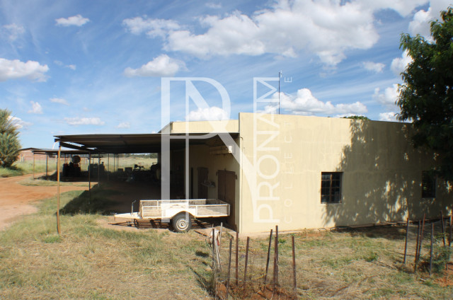 1268 Ha Farm For Sale - PRIME LOCATION - Ref.No. 2063