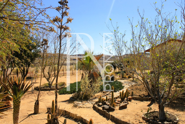 1 Farm For Sale