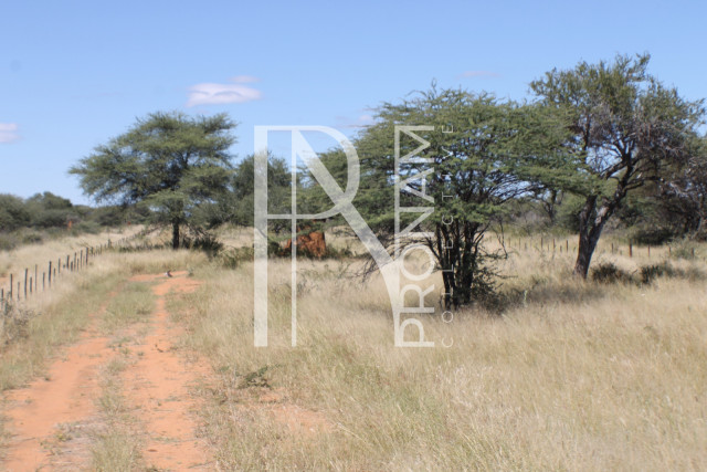 155 Ha Plot For Sale - Ref.No. 2065