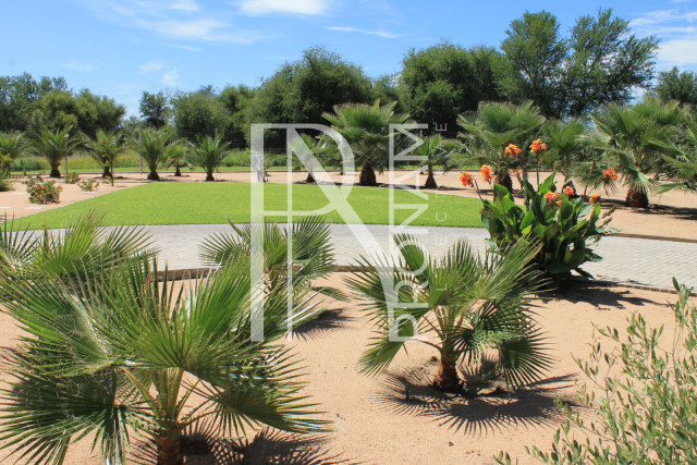 with lot's of palm trees, flowers and a well maintained lawn