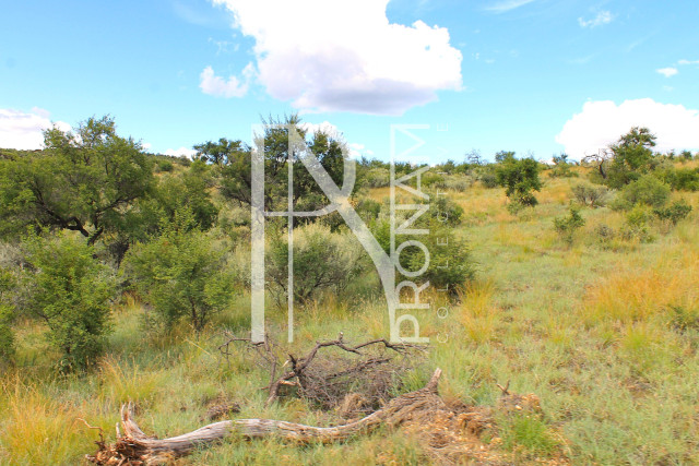 3.96 Ha Plot For Sale