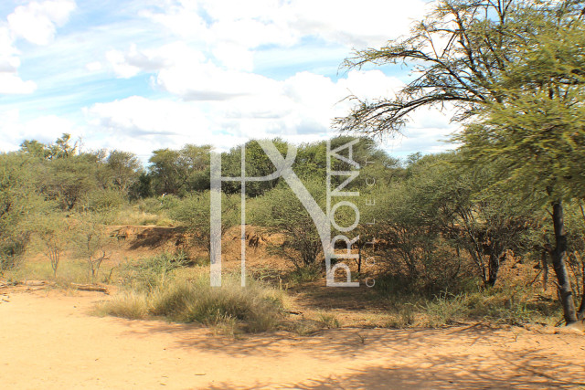 1268 Ha Farm For Sale - PRIME LOCATION - Ref.No. 2063