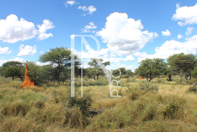1268 Ha Farm For Sale - PRIME LOCATION - Ref.No. 2063