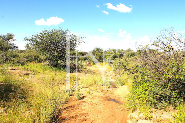 30.08 Ha Plot For Sale