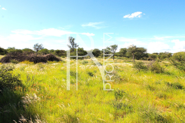 30.08 Ha Plot For Sale