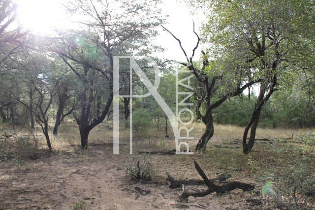 5409 Ha Farm For Sale 