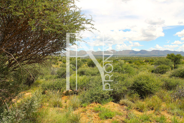 4.0 Ha Plot For Sale 