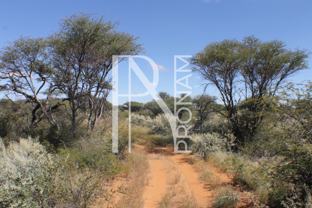 155 Ha Plot For Sale - Ref.No. 2065