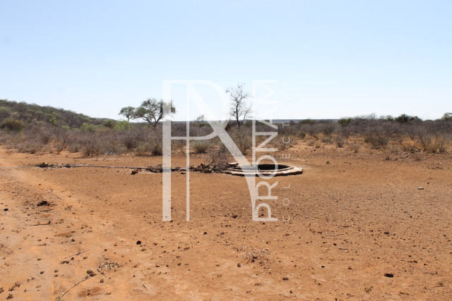 A water point for the roaming animals
