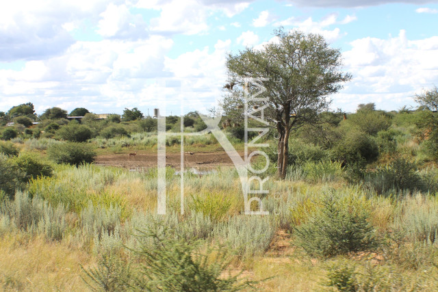 1268 Ha Farm For Sale - PRIME LOCATION - Ref.No. 2063