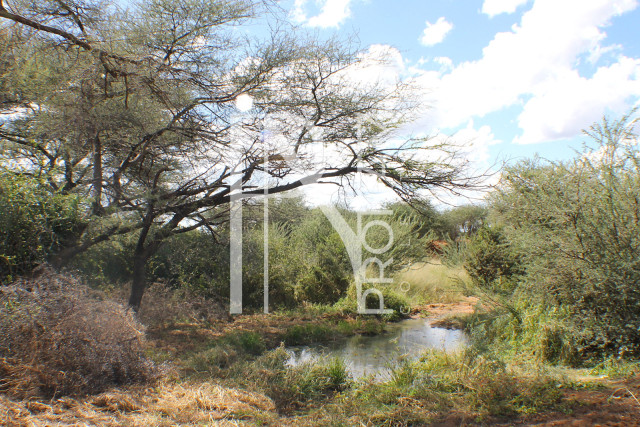 1268 Ha Farm For Sale - PRIME LOCATION - Ref.No. 2063