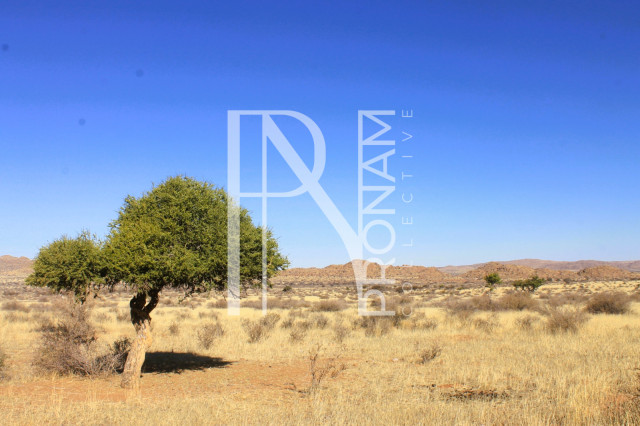 1 Farm For Sale