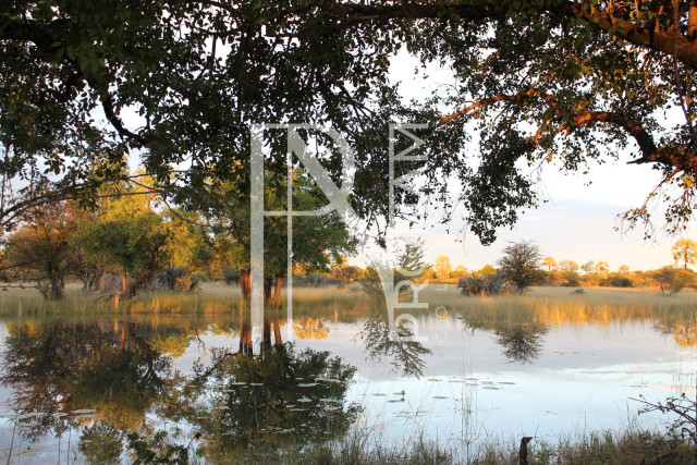5409 Ha Farm For Sale 