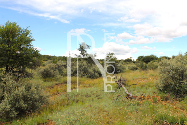 3.88 Ha Plot For Sale 