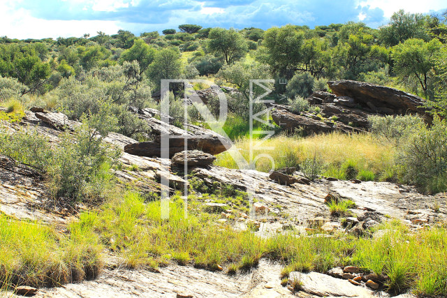 6.86 Ha Plot For Sale