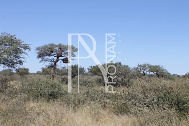 129 Ha Plot For Sale - Ref.No. 2076