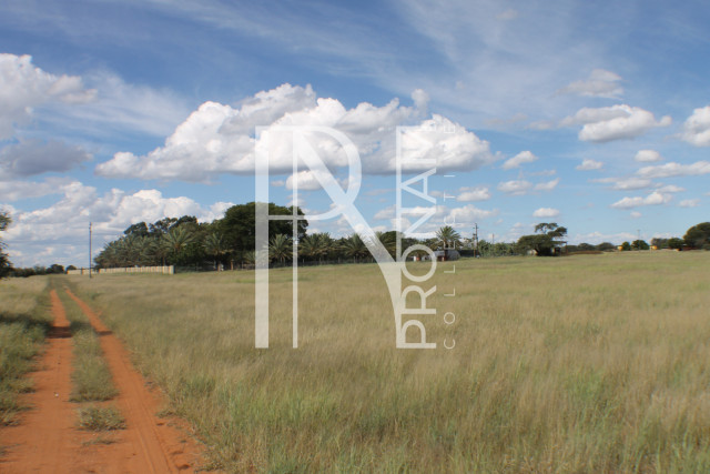 1268 Ha Farm For Sale - PRIME LOCATION - Ref.No. 2063