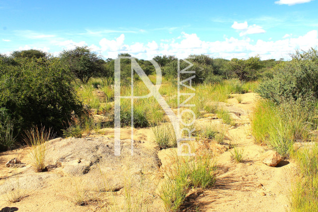 30.08 Ha Plot For Sale