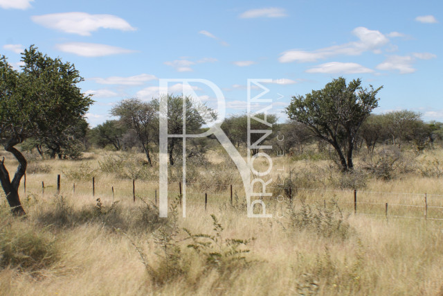 164 Ha Plot For Sale - Ref.No. 2067