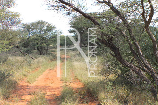 1268 Ha Farm For Sale - PRIME LOCATION - Ref.No. 2063