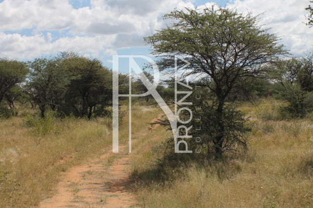 232 Ha Plot For Sale - Ref.No. 2068