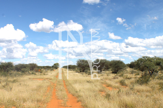1268 Ha Farm For Sale - PRIME LOCATION - Ref.No. 2063
