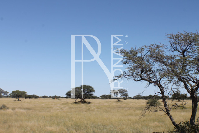 164 Ha Plot For Sale - Ref.No. 2067