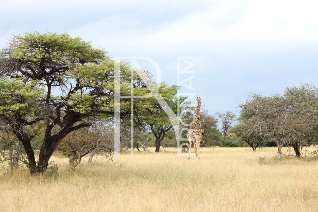 5409 Ha Farm For Sale 