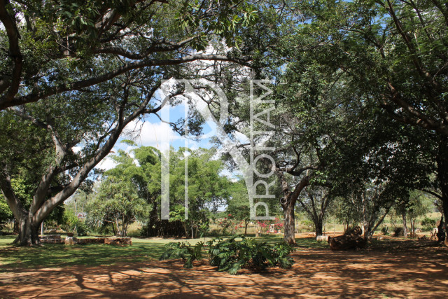 200 Ha Farm For Sale