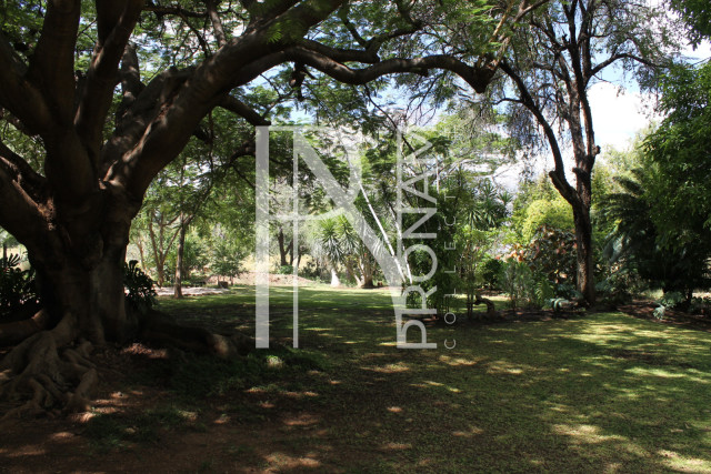 200 Ha Farm For Sale