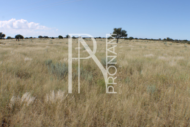 121 Ha Plot For Sale - Ref.No. 2074