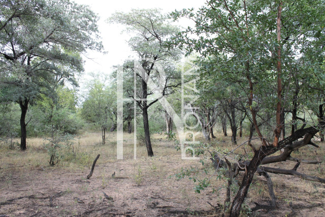 5409 Ha Farm For Sale 
