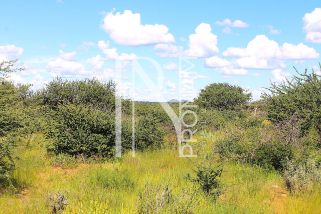 30.08 Ha Plot For Sale